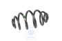 Volkswagen Passat B5 (3B) schroefveer voor trekgebruik - achter, groen/wit