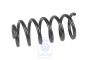 Volkswagen Passat B5 (3B) schroefveer pantservoertuig 6-cilinder - achter, violet/bruin