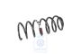 Volkswagen Passat B5 (3B) schroefveer sportonderstel (W8) - achter, bruin