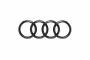 Audi Q8 e-tron (GE), e-tron GT (FW) logo