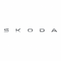 Škoda Karoq (NU) letters achterklep - chroom