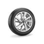 Volkswagen Golf 8 (5H) winterset