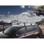 Volkswagen Tiguan 2 (AD1) dakdragers