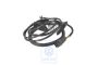 Volkswagen Polo 3 (6N) kabelboom achterklep - links
