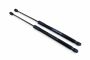 Audi A1 (GB) gasveren achterklep, 2 stuks