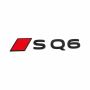 Audi Q6 (85H) embleem - zwart