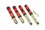 MTS Technik schroefset (Street) - Passat (B3/B4)