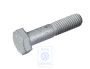 Volkswagen zeskantbout M10x45x20