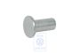 Volkswagen klinknagel voor trommelremvoering 4x8 mm