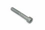 Originele inbusbout (M10X65)