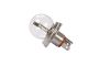 Originele gloeilamp (R2/P45t)