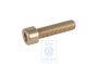Volkswagen cilinderkopschroef omlooprol M10x40 (5- en 6-cilinder diesel)