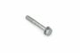 Originele zeskantbout (combi) (M8X55)