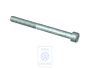 Volkswagen Passat B5 (3B) inbusbout dynamohouder M10x110x45 (AFB, AKN, BDH)
