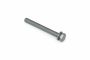 Originele zeskantbout (combi) (M6X58)