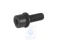 Volkswagen Passat B5 (3B) inbusbout luchtfilter M5x15 (ALT)