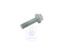 Volkswagen Passat B5 (3B) zeskantflensbout trillingsdemper M16x1,5x65