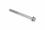 Originele zeskantbout (combi) (M10X125X45)
