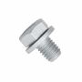 Originele zeskantbout (combi) (M8X12)