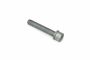 Originele inbusbout met inbus- kop (combi) (M10X60)