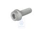Volkswagen Passat B5 (3B) cilinderkraagbout cilinderkop M8x24 (AMX, BBG, ATQ)