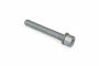 Originele inbusbout met inbus- kop (combi) (M10X70)