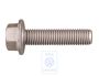 Volkswagen zeskantflensbout nokkenaskettingwiel M12x1,5x50