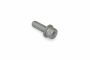 Originele inbusbout met inbus- kop (combi) (M10X30)