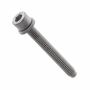 Originele inbuskraagbout (combi) (M6X50)