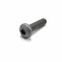 Originele inbusbout met platte kop (M6X25)