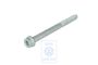 Volkswagen Touareg 1 (7L) inbusbout met kraag M10x120x45