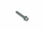 Originele inbusbout (combi) (M8X45)