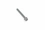 Originele inbusbout met inbus- kop (combi) (M6X55)