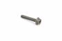 Originele inbusbout met inbus- kop (M12X60)