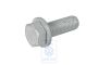 Volkswagen Caddy 3 (2K) zeskantbout M12x1,5x35