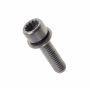 Originele inbusbout met poly- inbuskop (combi) (M6X22)