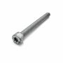 Originele inbusbout (M6X60)