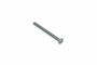 Originele lenskopbout (M6X70)