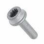 Originele platkopschroef met poly-inbus (M8X30)