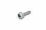 Originele platkopschroef met inbus, zelftappend (M8X30)