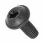 Originele inbusbout met inbuskop (M5X12)