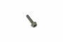 Originele inbusbout met poly- inbuskop (combi) (M8X38)