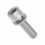 Originele inbusbout met poly- inbuskop (combi) (M8X28)