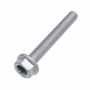 Originele zeskantflensbout (M8X60)