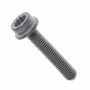 Originele inbusbout met poly-inbuskop (M8X45)