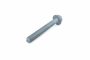 Originele zeskantbout met kraag (M16X120X100)