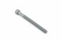 Originele poly-inbusbout (M10X115)