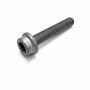 Originele poly-inbusflensbout (M10X58)