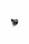 Originele flensbout met inwendige torx (M5X10)