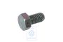Volkswagen zeskantbout M7x1,25x13
